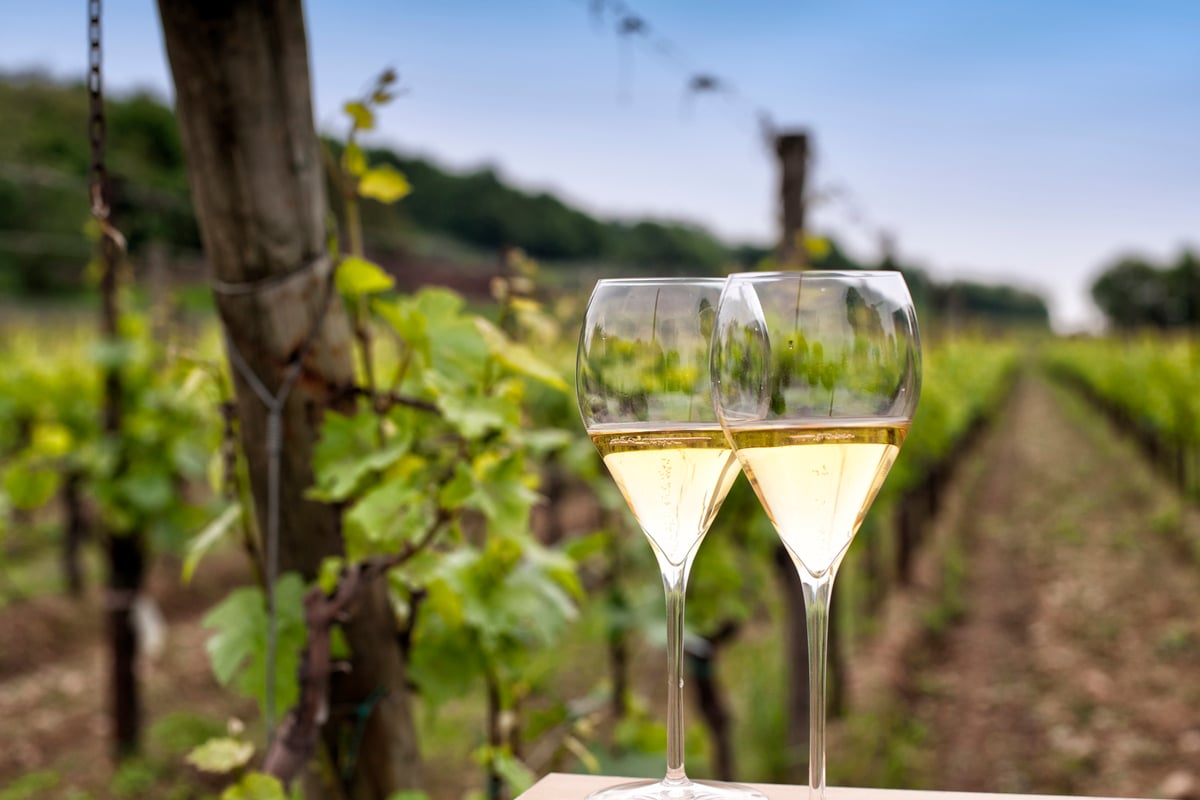 Calici di vino Franciacorta