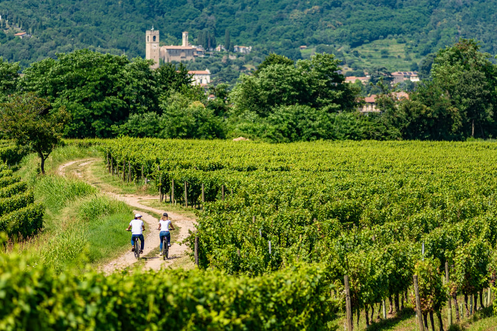 estate in Franciacorta