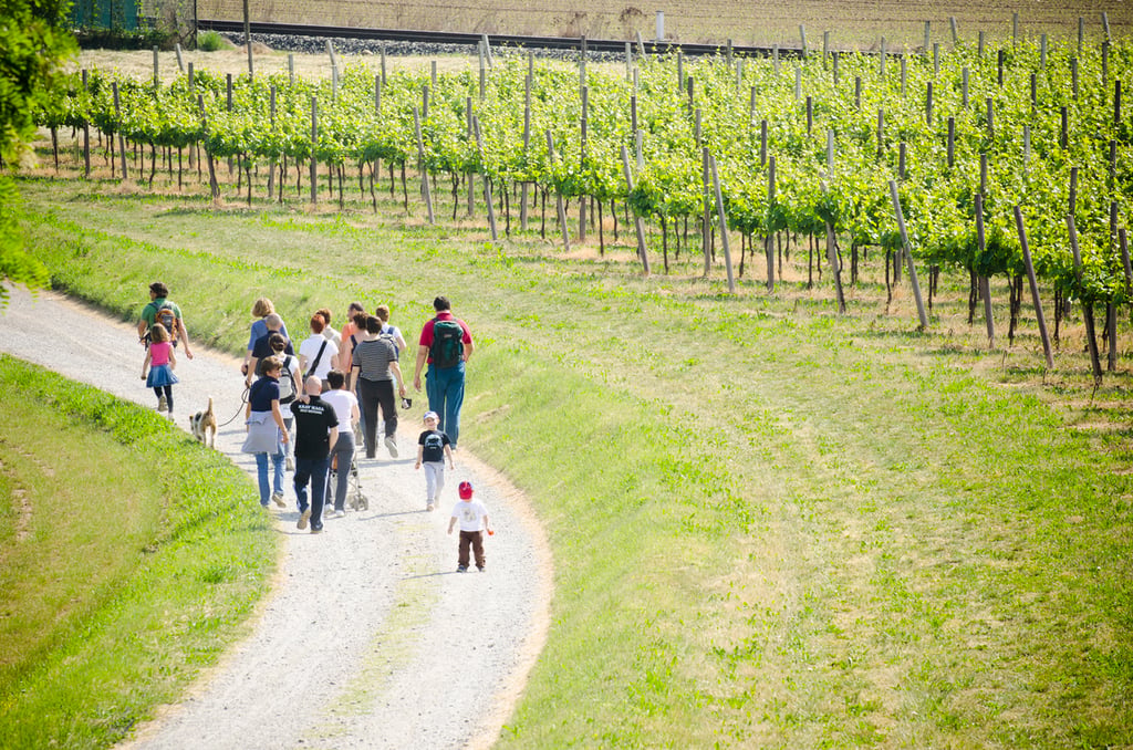 passeggiate facili in Franciacorta