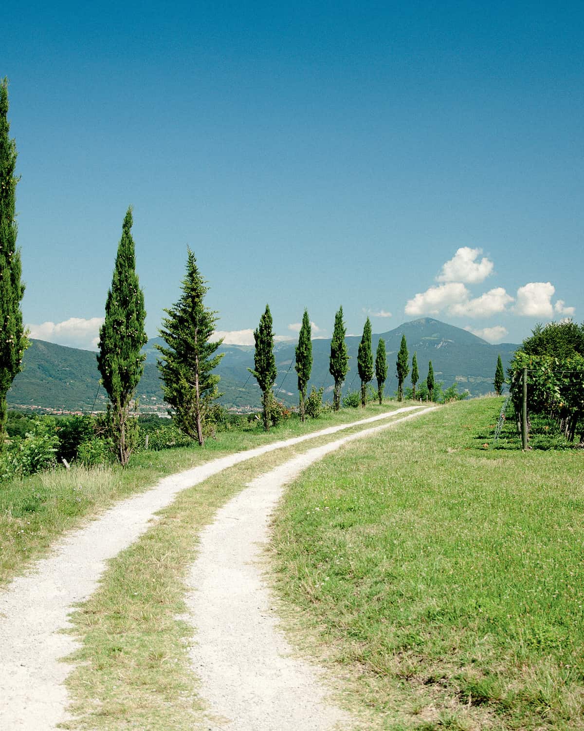 comune cazzago