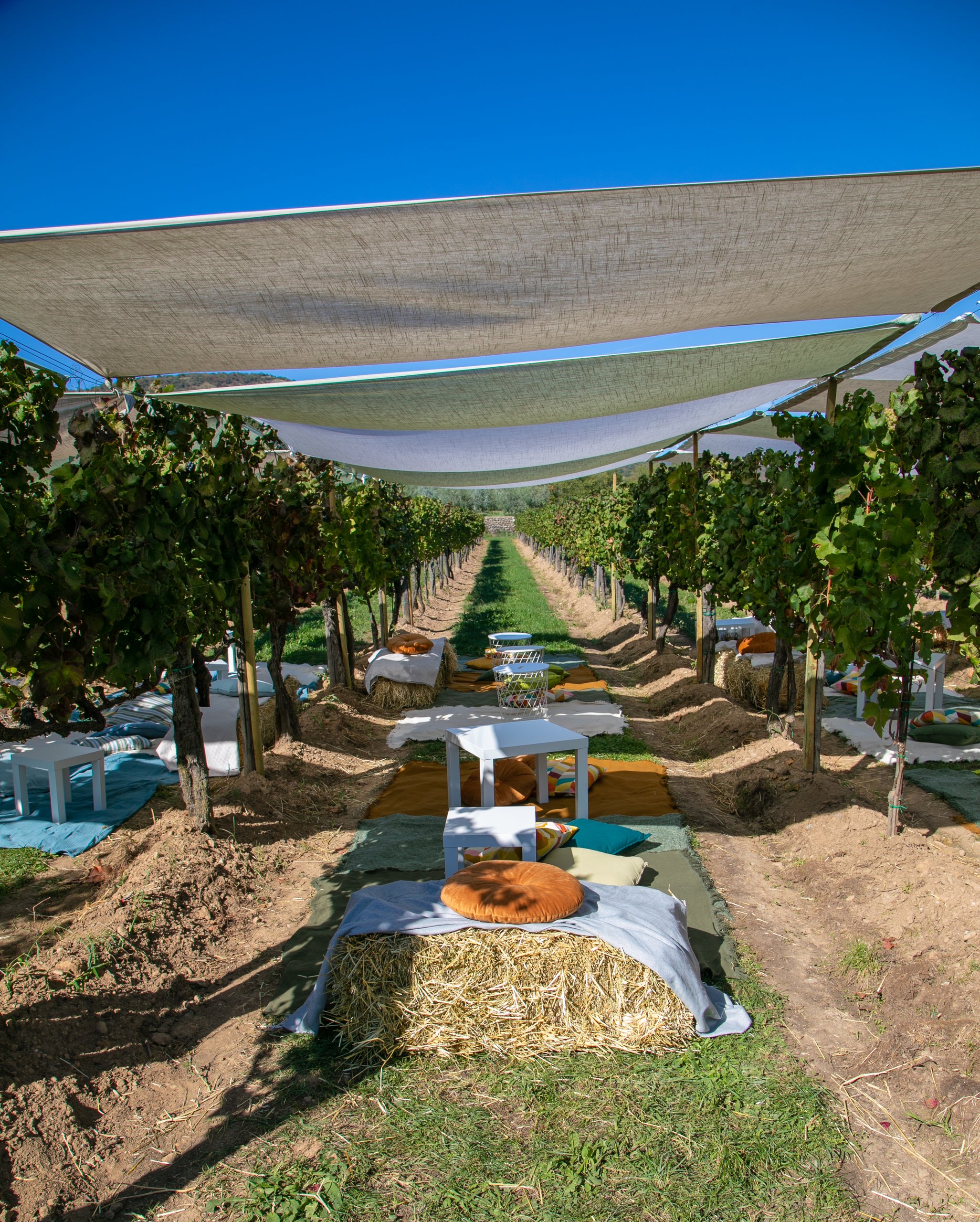 Festival del Franciacorta - pic-nic, musica, arte e poesia in vigna