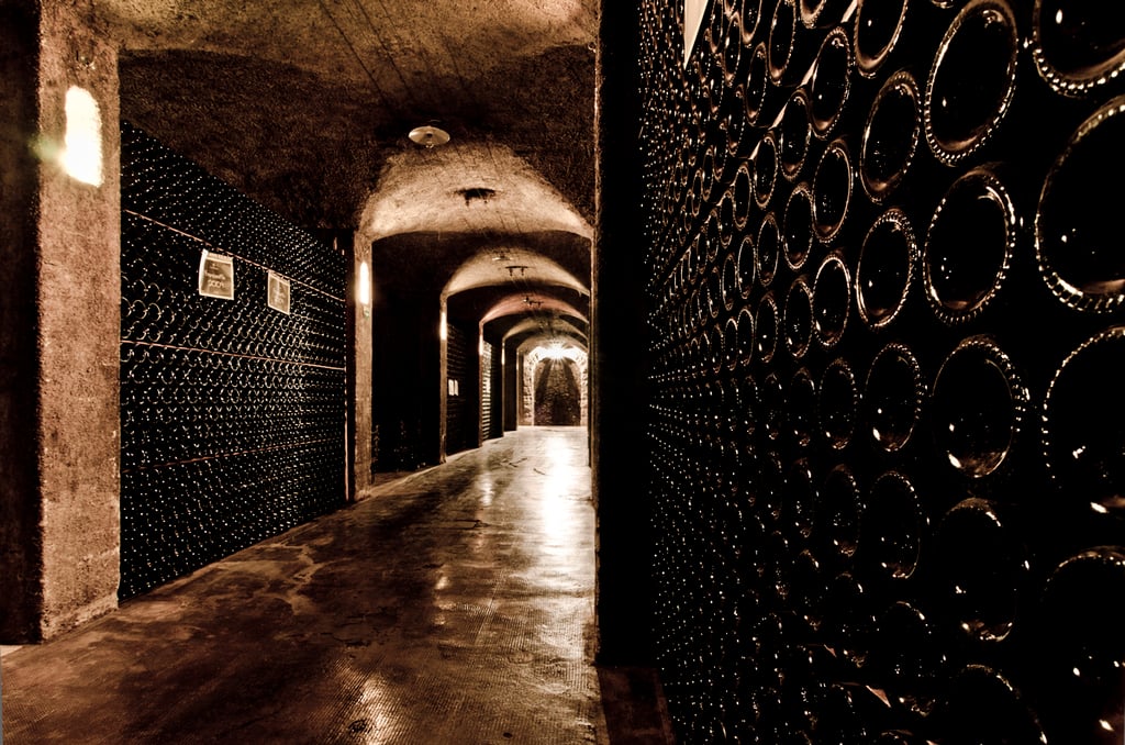 Franciacorta Brut: caratteristiche, gusto e migliori abbinamenti
