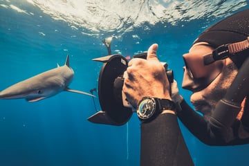 Diver Lemon Shark Ulysse Nardin