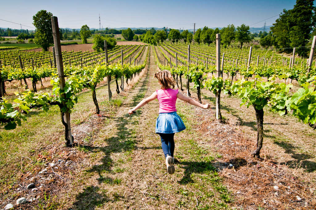bimba tra i vigneti