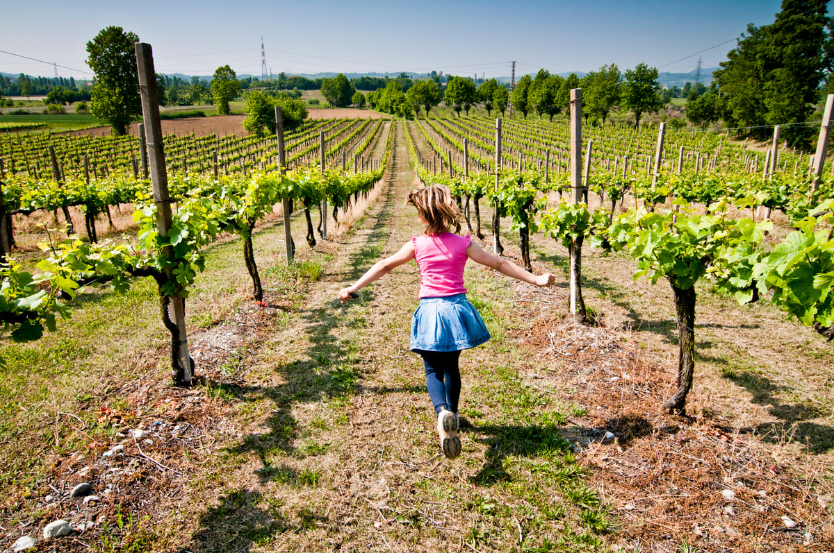 bimba tra i vigneti