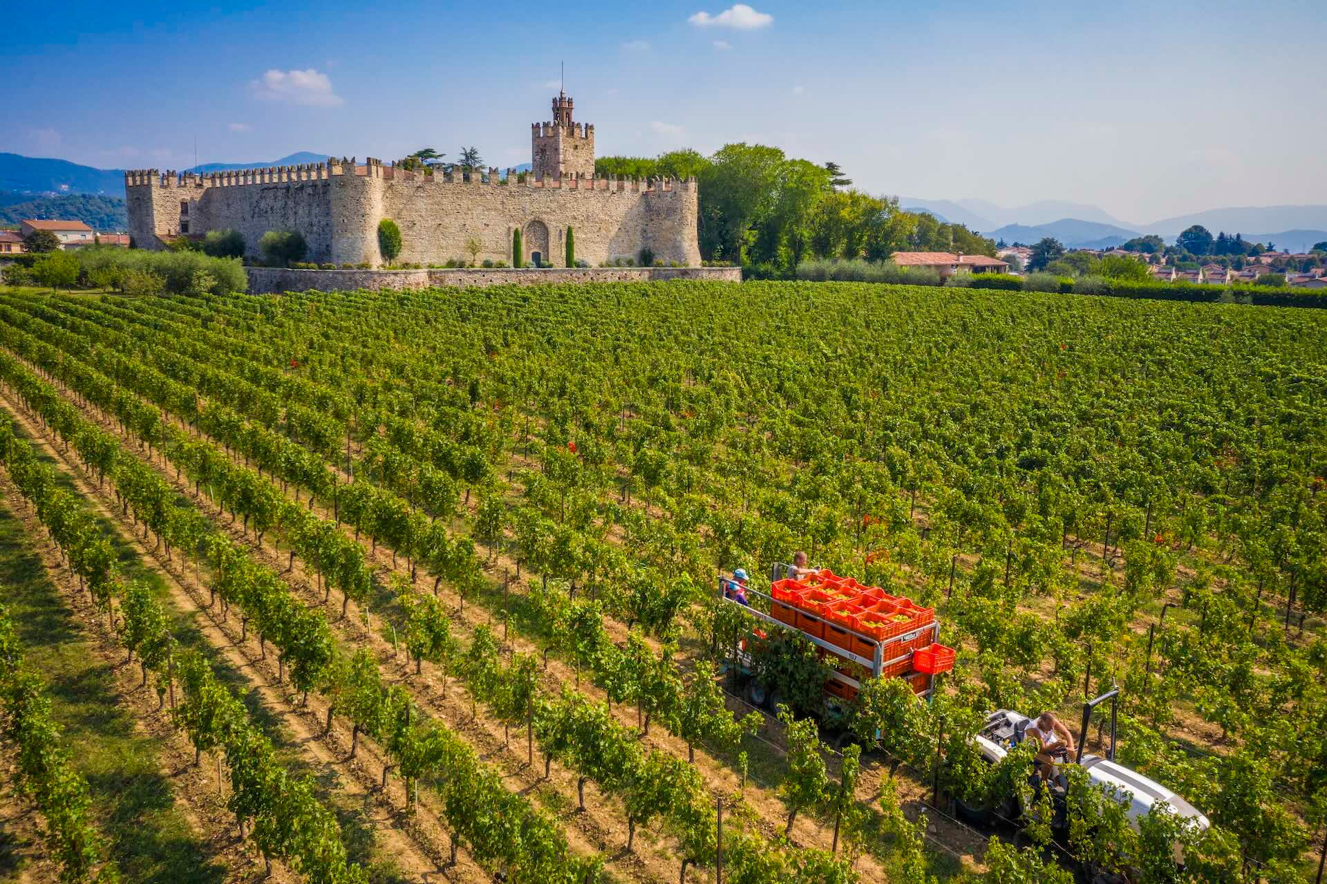 Franciacorta inizio vendemmia 2025