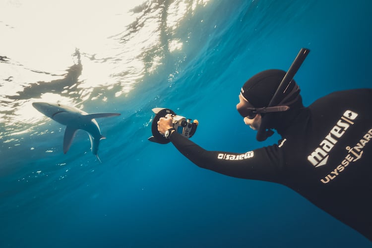 Diver Lemon Shark Ulysse Nardin