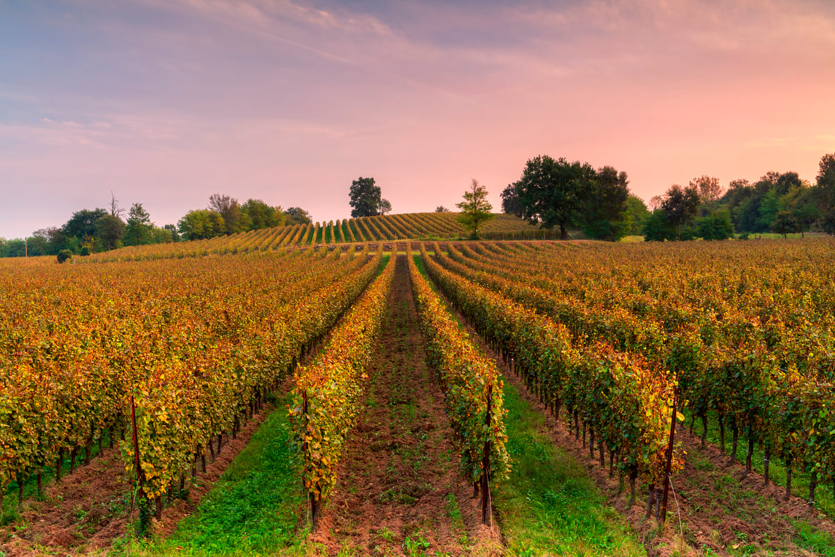Itinerario Franciacorta foliage