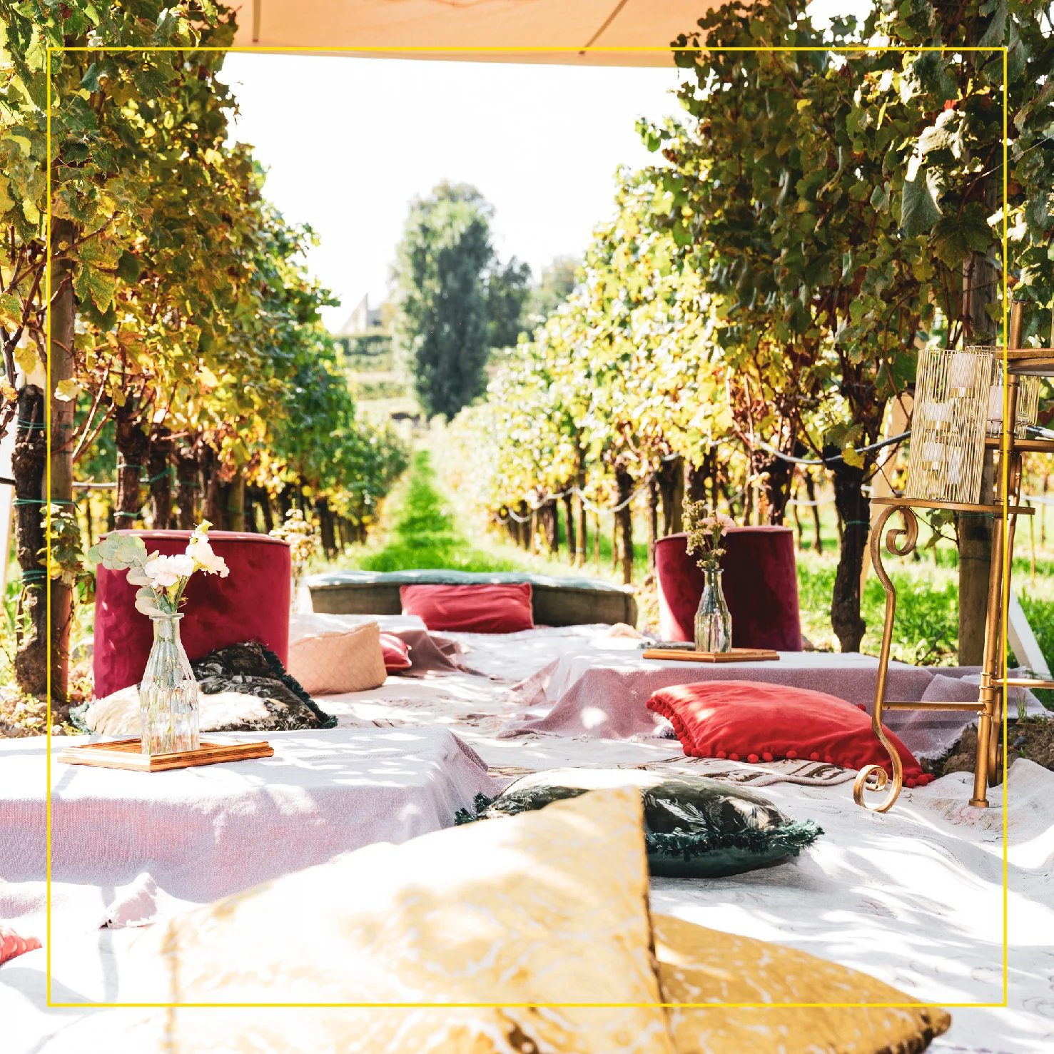 Pic-nic tra i vigneti