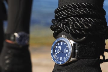 Tudor Pelagos Fxd