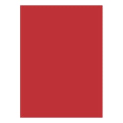 Cartolina 50x65cm Vermelho 8F 180g 1 Folha - Neutral 17205935/UN