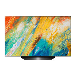 LG OLED TV 48" UHD 4K PRO CENTRIC SMART TV HOSPITALITY MODE HOTEL 48ES961H - LG 48ES961H