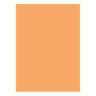 Cartolina A4 Laranja Suave 6A 180g 125 Folhas - Neutral 1722060