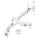 Suporte de mesa para monitor inclinável e giratório Tooq com 2 braços 17-32" - Branco - Tooq DB4132TNR-W
