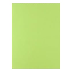 Cartolina 50x65cm Verde Lima 3N 180g 1 Folha - Neutral 17205937/UN