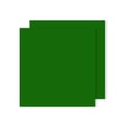 Cartolina A4 Verde Abeto 185g 50 Folhas Canson - Canson 17240173