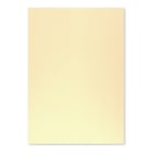 Cartolina 50x65cm Creme Torrado 4T 180g 1 Folha - Neutral 17205903/UN
