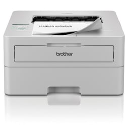 BROTHER HL-L2865DW Printer Mono Duplex laser A4 1200x1200dpi 34ppm 250sheets USB Wi-Fi LAN - Brother HLL2865DWRE1