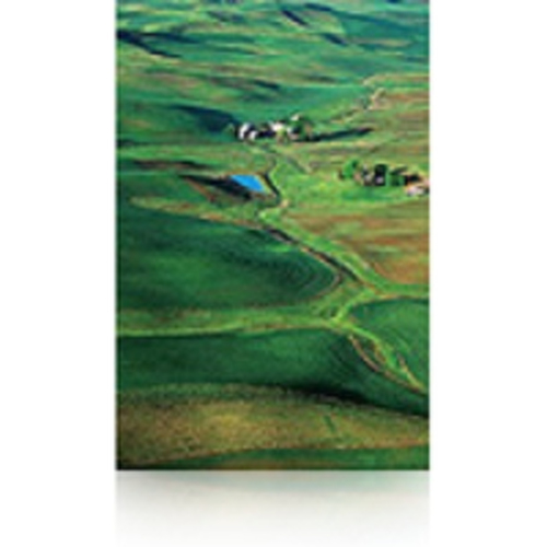 Premium SemiGloss PHOT Paper (250) 60" X 30.5m - Epson C13S042133