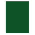 Cartolina A4 Verde Escuro 3C 180g 125 Folhas - Neutral 1722064