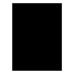 Cartolina 50x65cm Preto CLA-C 250g 1 Folha - Neutral 17205994/UN