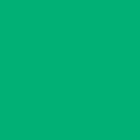 Cartolina 50x65cm Verde Hortelã 240g 25 Folhas Canson (Menta) - Canson 17209817