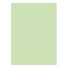 Cartolina 50x65cm Verde CLA 3 250g 1 Folha - Neutral 17205991/UN
