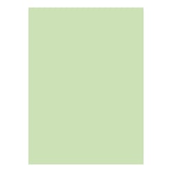Cartolina 50x65cm Verde CLA 3 250g 1 Folha - Neutral 17205991/UN
