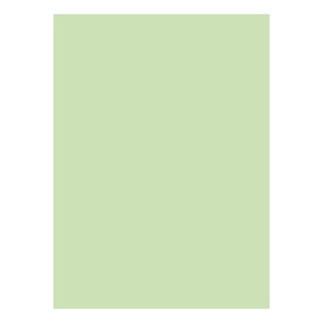 Cartolina 50x65cm Verde CLA 3 250g 1 Folha - Neutral 17205991&#47;UN