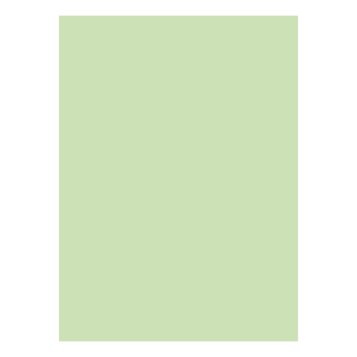 Cartolina 50x65cm Verde CLA 3 250g 1 Folha - Neutral 17205991/UN