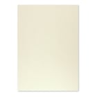 Cartolina 50x65cm Cinzento 9 250g 1 Folha - Neutral 17205965/UN