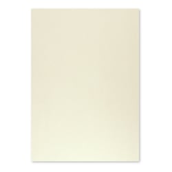Cartolina 50x65cm Cinzento 9 250g 1 Folha - Neutral 17205965/UN
