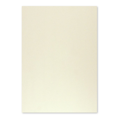 Cartolina 50x65cm Cinzento 9 250g 1 Folha - Neutral 17205965/UN