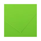 Cartolina 50x65cm Verde Fluorescente 250g 25 Folhas Canson - Canson 17203816
