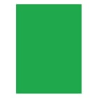Cartolina 50x65cm Verde Bandeira 3M 180g 1 Folha - Neutral 17205939/UN