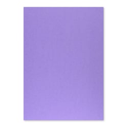 Cartolina 50x65cm Lilás Pálido 7L 250g 1 Folha - Neutral 17205963/UN