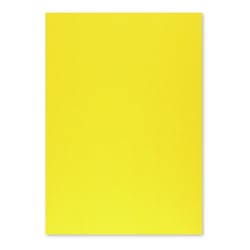 Cartolina 50x65cm Amarelo Girassol 4G 250g 1 Folha - Neutral 17205913/UN