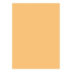 Cartolina A4 Laranja Pálido 6 180g 1 - Outras 1725968/UN