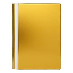 Classificador Capa Transparente Ouro - Outras 1151046
