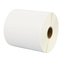 Etiquetas perfuradas genéricas Zebra 100x50 mm - 1000 unidades - ZR-100x50(1000)