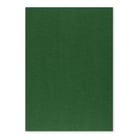 Cartolina 50x65cm Verde Escuro 3C 250g 1 Folha - Neutral 17205910/UN