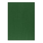 Cartolina 50x65cm Verde Escuro 3C 250g 1 Folha - Neutral 17205910/UN
