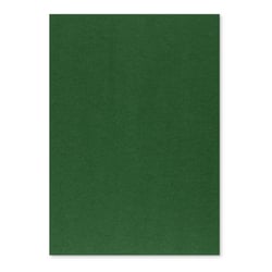 Cartolina 50x65cm Verde Escuro 3C 250g 1 Folha - Neutral 17205910/UN