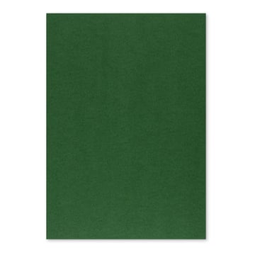 Cartolina 50x65cm Verde Escuro 3C 250g 1 Folha - Neutral 17205910&#47;UN
