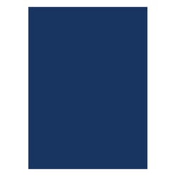 Cartolina A4 Azul Marinho 5L 180g 1 Folha - Outras 1725962/UN