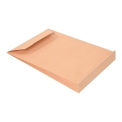 Envelopes Saco 250x353mm B4 Branco 120g C/Fole 40mm - Neutral 1611073