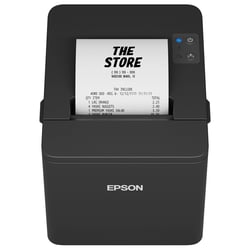 Epson TM-T20IV (101): USB + Serial, PS, Blk, EU - Epson C31CL47101