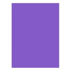 Cartolina 50x65cm Violeta/Roxo 7V 180g 1 Folha - Neutral 17205930/UN