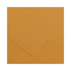 Cartolina 50x65cm Couro 185g 1 Folha Canson - Canson 17240241