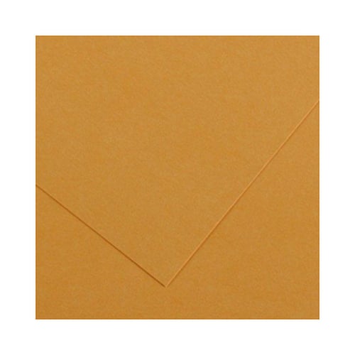 Cartolina 50x65cm Couro 185g 1 Folha Canson - Canson 17240241
